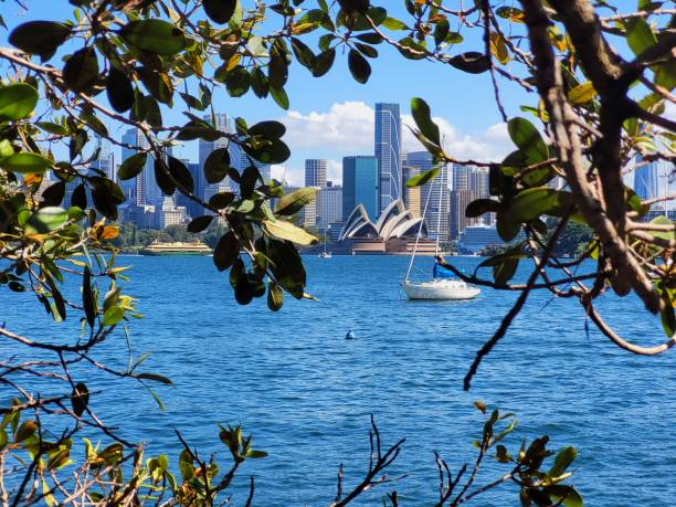 istock Panorama view of Sydney Downtown 1857724724