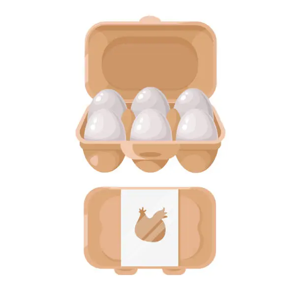 Vector illustration of White chicken eggs in a cardboard box. A container or tray for storing eggs. An open and closed box