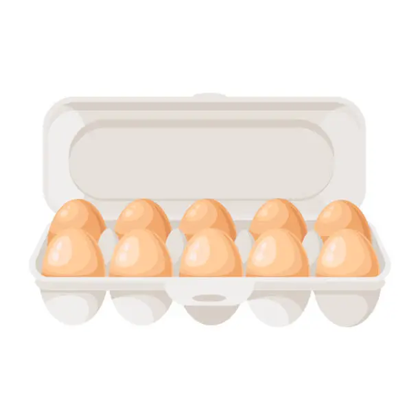 Vector illustration of Brown chicken eggs in an open cardboard box. A container or tray for storing eggs