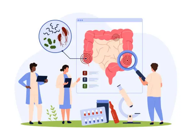 Vector illustration of Gut health, microbiome research and diagnosis by tiny people with magnifying glass