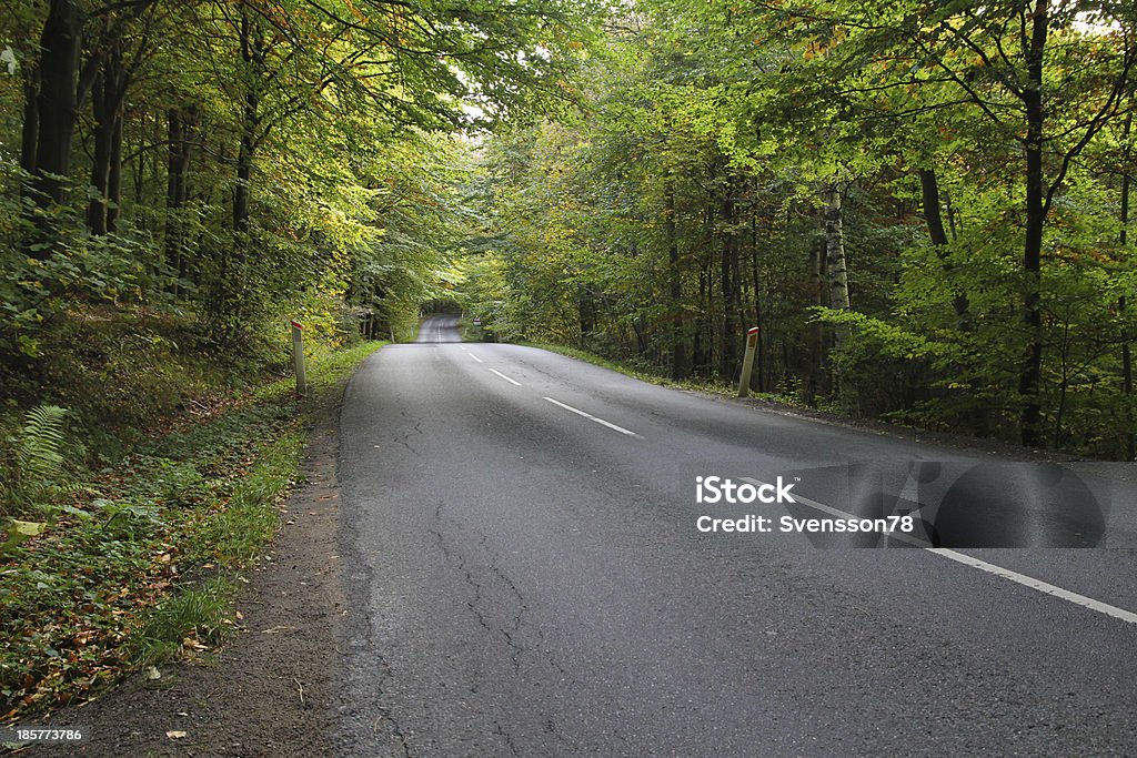 Road through forest A road through a dense part of the forest Hareskov nearby Copenhagen, Denmark Denmark Stock Photo