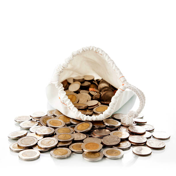istock Money in bag 185775606