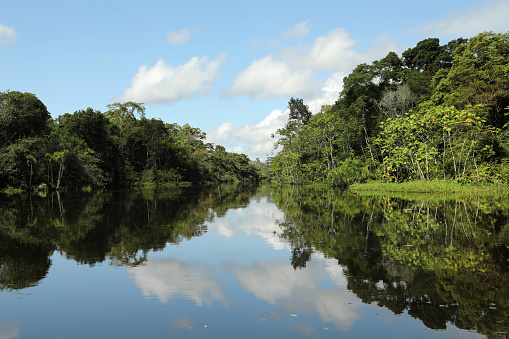 River Cruise  at Peruvian Amazon