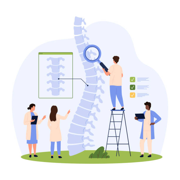 przegląd ortopedyczny kręgosłupa, malutkie osoby badają kręgosłup lupą - human spine human vertebra disk spinal stock illustrations