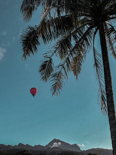 istock hot air balloon and a palm tree in the blue sky 1857769796