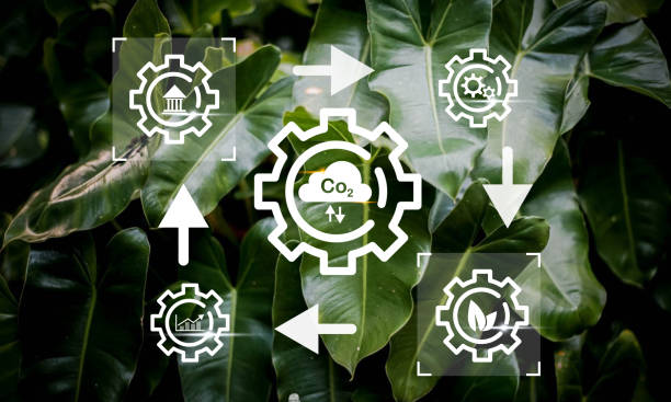 istock Reduce CO2 emission concept. Clean and friendly environment without carbon dioxide emissions.CO2 reducing icon inside magnifier glass for carbon credit to limit global warming from climate change 1857821373
