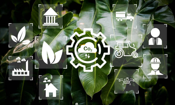 istock Reduce CO2 emission concept. Clean and friendly environment without carbon dioxide emissions.CO2 reducing icon inside magnifier glass for carbon credit to limit global warming from climate change 1857821879