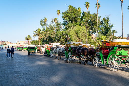 Jemaa el-Fnaa viwe, horse carriages are waiting for tourists at medina of Marrakech, Morocco.