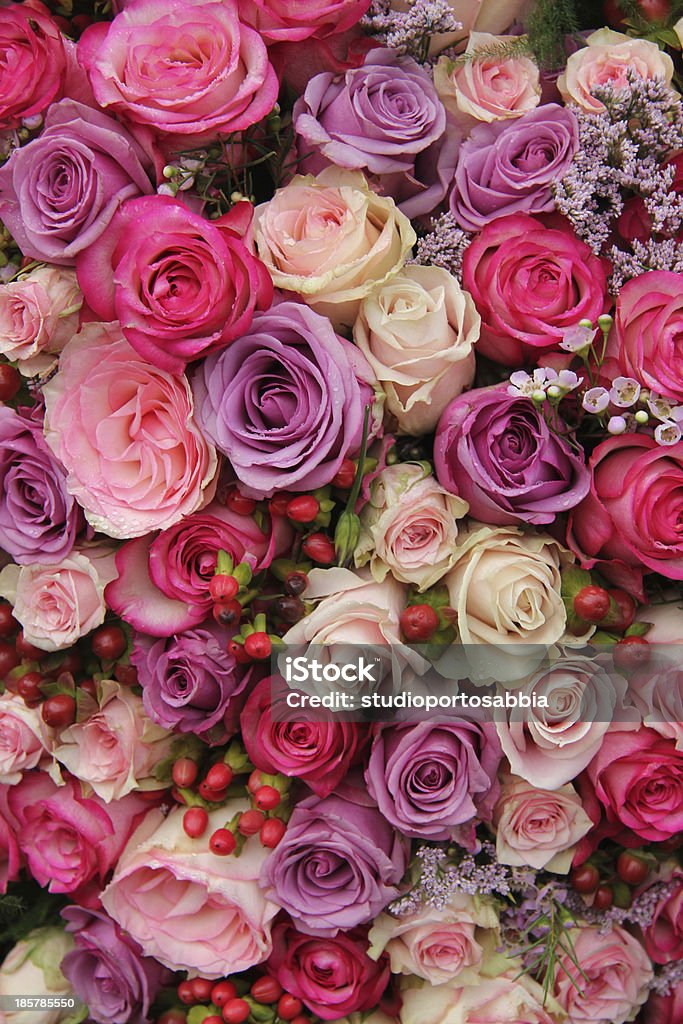 Rose viola e rosa matrimonio disposizione - Foto stock royalty-free di Amore