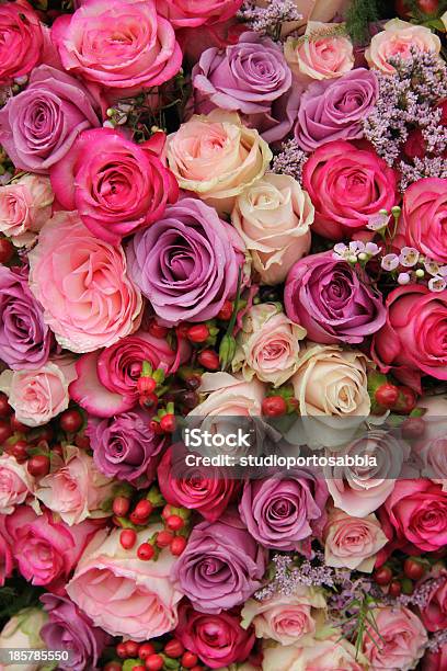 Roxo E Rosa Rosas Arranjo De Casamento - Fotografias de stock e mais imagens de Amor - Amor, Arranjo, Botânica - Ciência de plantas