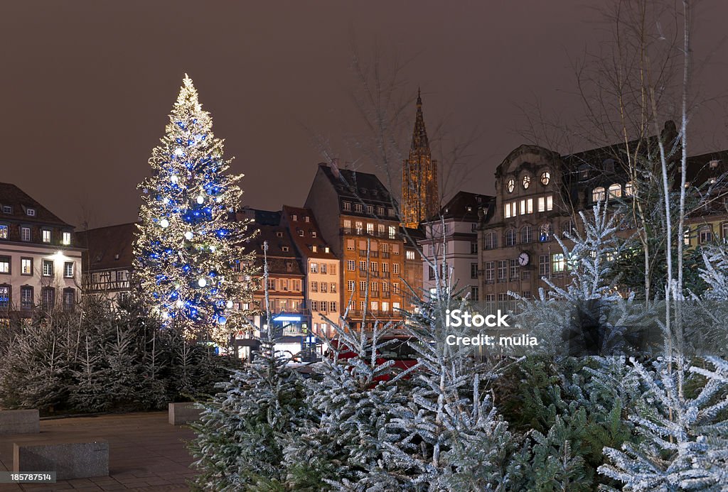 Tall, lit Christmas tree in the city Christmas tree with decoration in the city square among houses Strasbourg Stock Photo