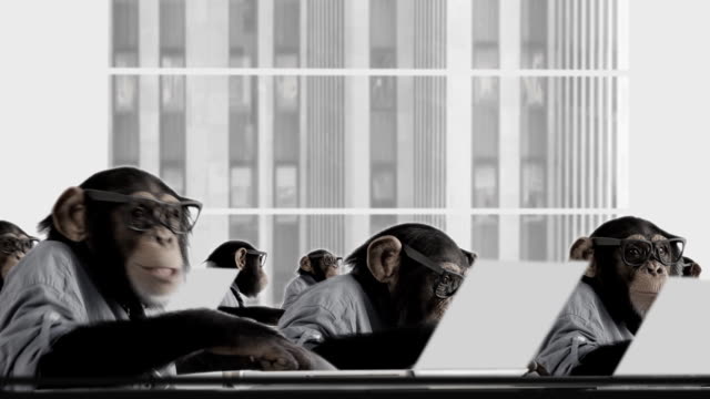 Monkey Business Team