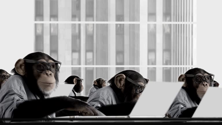 3,372 Funny Monkey Stock Videos and Royalty-Free Footage - iStock | Funny monkey white background 3,372 Funny Monkey Stock Videos and Royalty-Free Footage - iStock | Funny monkey white background