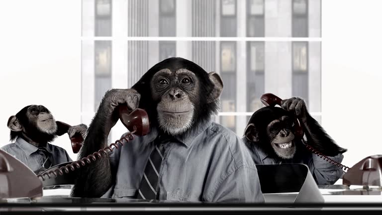 30,549 Prank Stock Videos and Royalty-Free Footage - iStock | April fools, Funny, Office prank 30,549 Prank Stock Videos and Royalty-Free Footage - iStock | April fools, Funny, Office prank