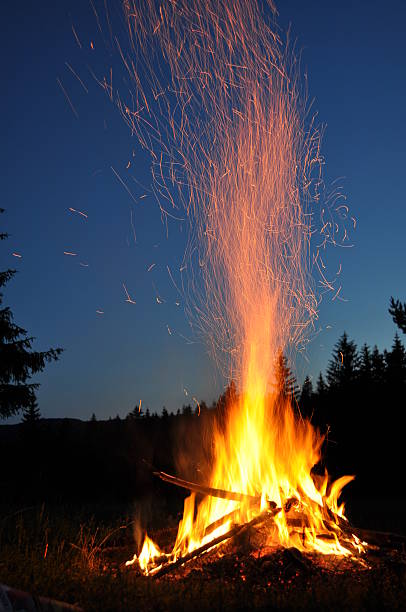 Campfire in the forest stock photo