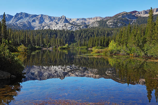 istock The blue 