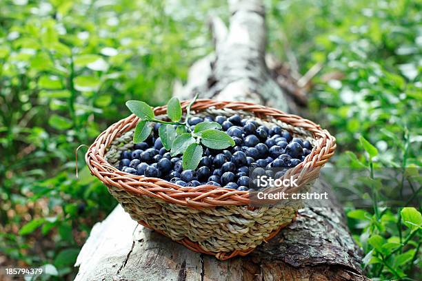 Foto de Mirtilos e mais fotos de stock de Alimentação Saudável - Alimentação Saudável, Azul, Baga - Fruta