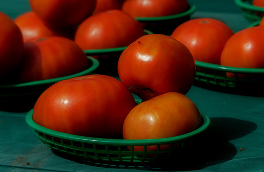 farm stand shot of luscious tomatoes with a tiny fly
