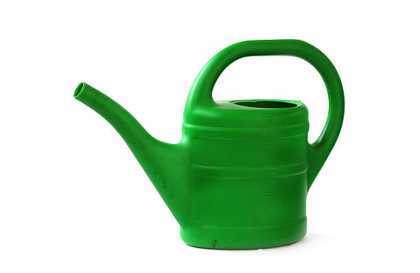 istock Isolated green watering can 185795560