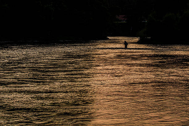 Sunset salmon river stock photo