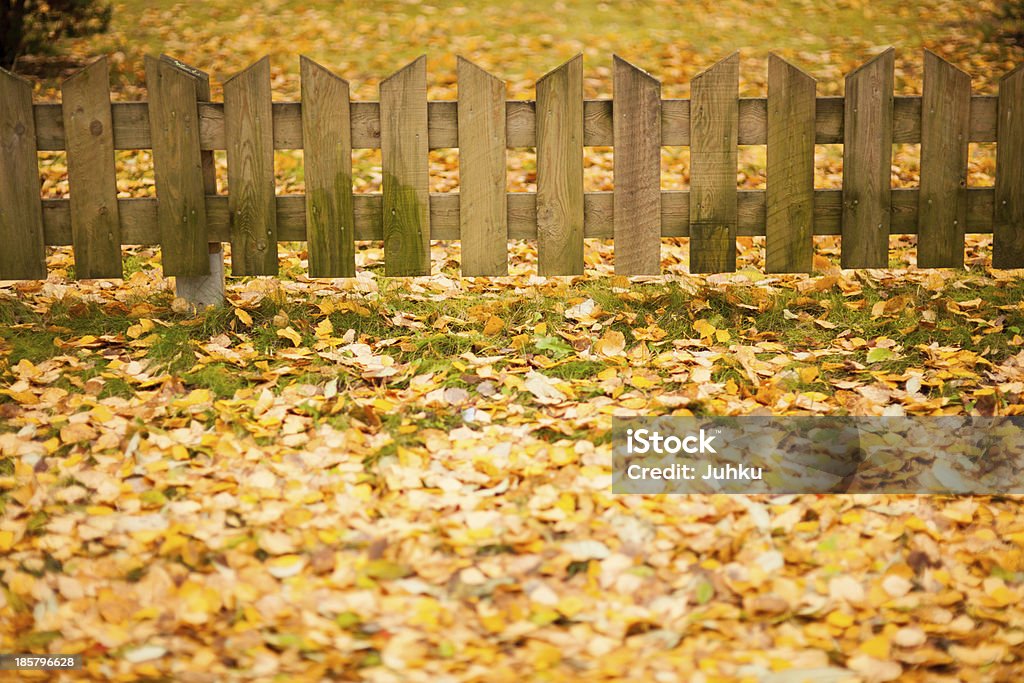 Pequeno cerca de madeira e amarelo folhas de Outono - Royalty-free Ao Ar Livre Foto de stock