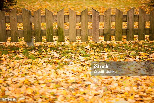 Pequeno Cerca De Madeira E Amarelo Folhas De Outono - Fotografias de stock e mais imagens de Ao Ar Livre