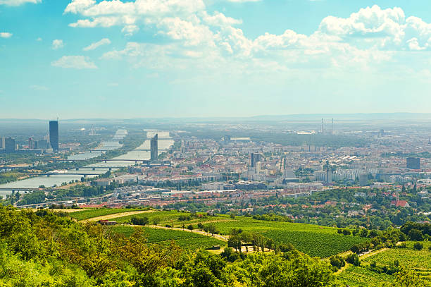 istock view of the vienna 185796862