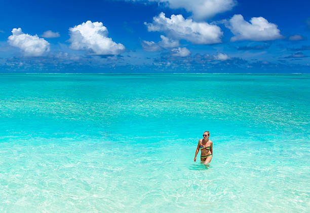 istock ocean, blue sky with clouds and a beautiful girl 185796932