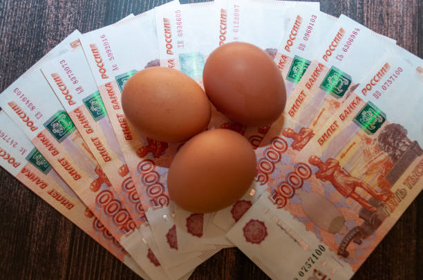 istock Chicken eggs on the background of banknotes 1858014014