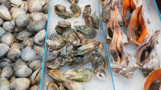 istock close up on fresh clam as seafood background 1858027437