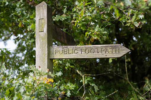 Public footpath sign in Hucknall, Notts, UK. Surrounded by an oak tree.