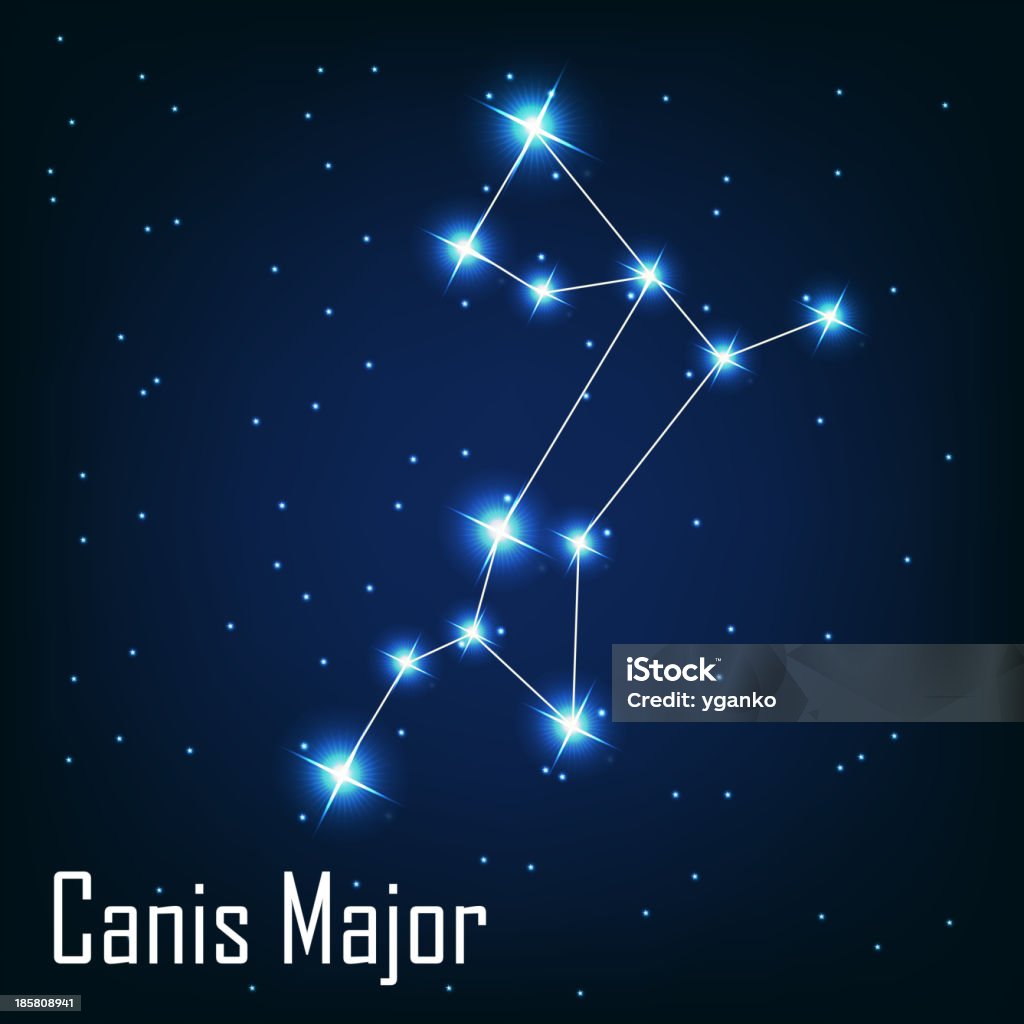 constellation " Canis Major" star in the night sky. Vector i The constellation " Canis Major" star in the night sky. Vector illustration Canis Major stock vector