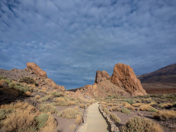 istock Landscape of Teide National Park 1858097543