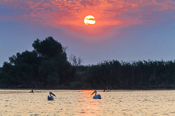 istock sunrise in the Danube Delta 185810692