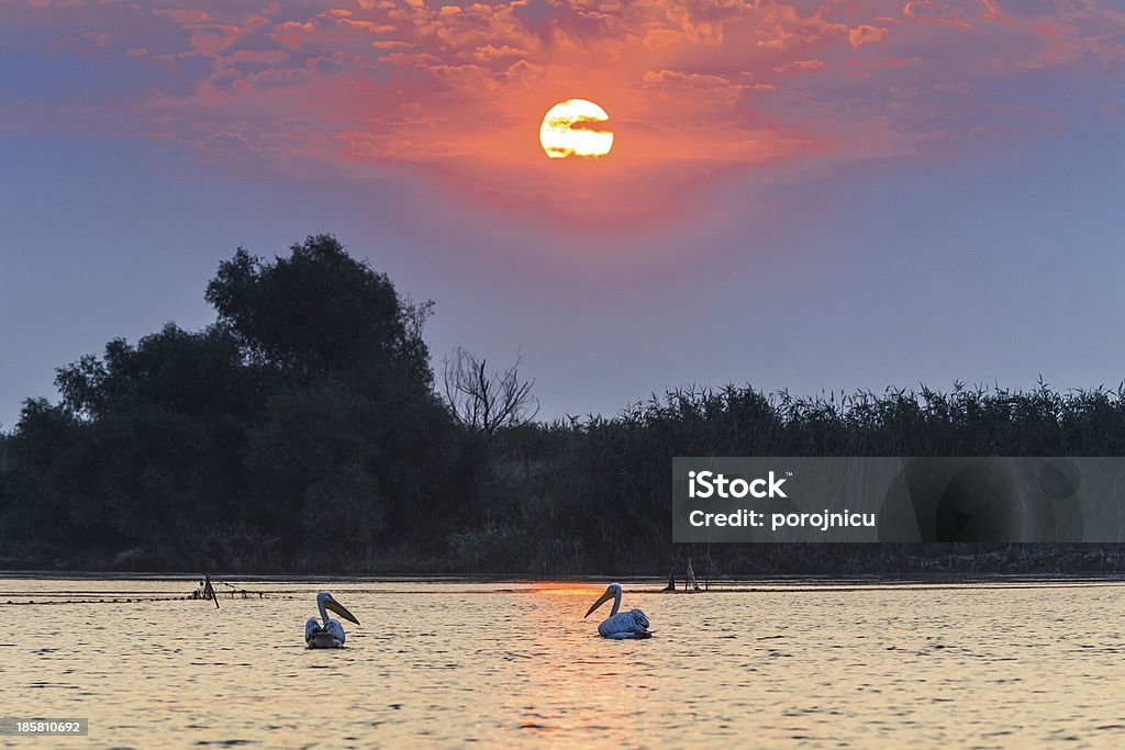 sunrise in the Danube Delta a beautiful sunrise in the Danube Delta, Romania Beauty In Nature Stock Photo