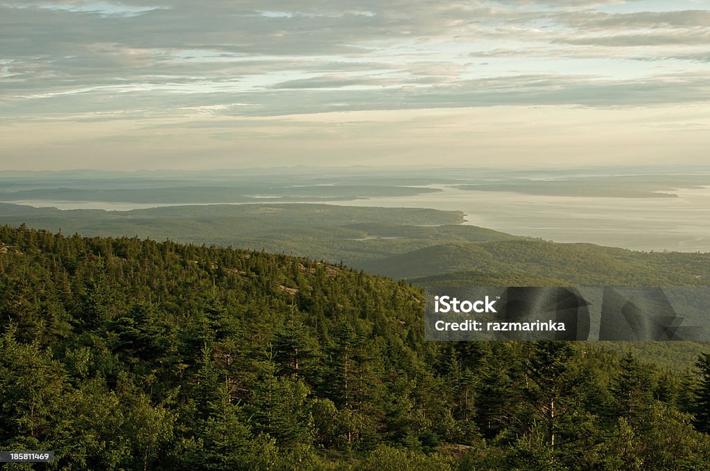 Alba con foresta e nuvole di luce - Foto stock royalty-free di Albero