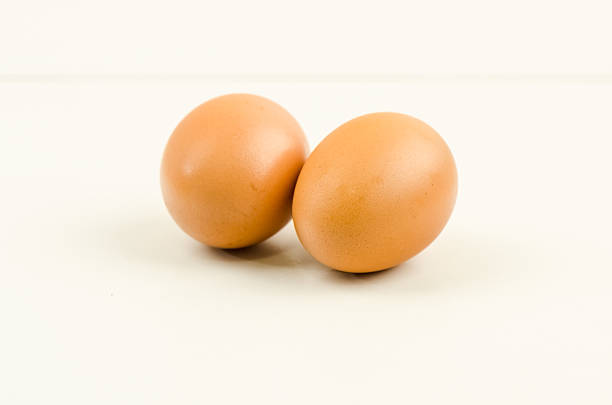 Chicken egg stock photo