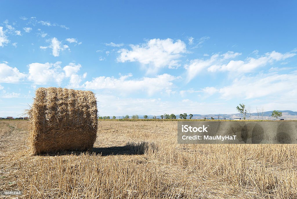 Straw Bales in einem Stubbel Field - Lizenzfrei Agrarbetrieb Stock-Foto