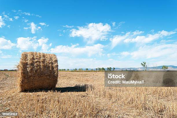Straw Bales In Einem Stubbel Field Stockfoto und mehr Bilder von Agrarbetrieb - Agrarbetrieb, Agrarland, Anhöhe