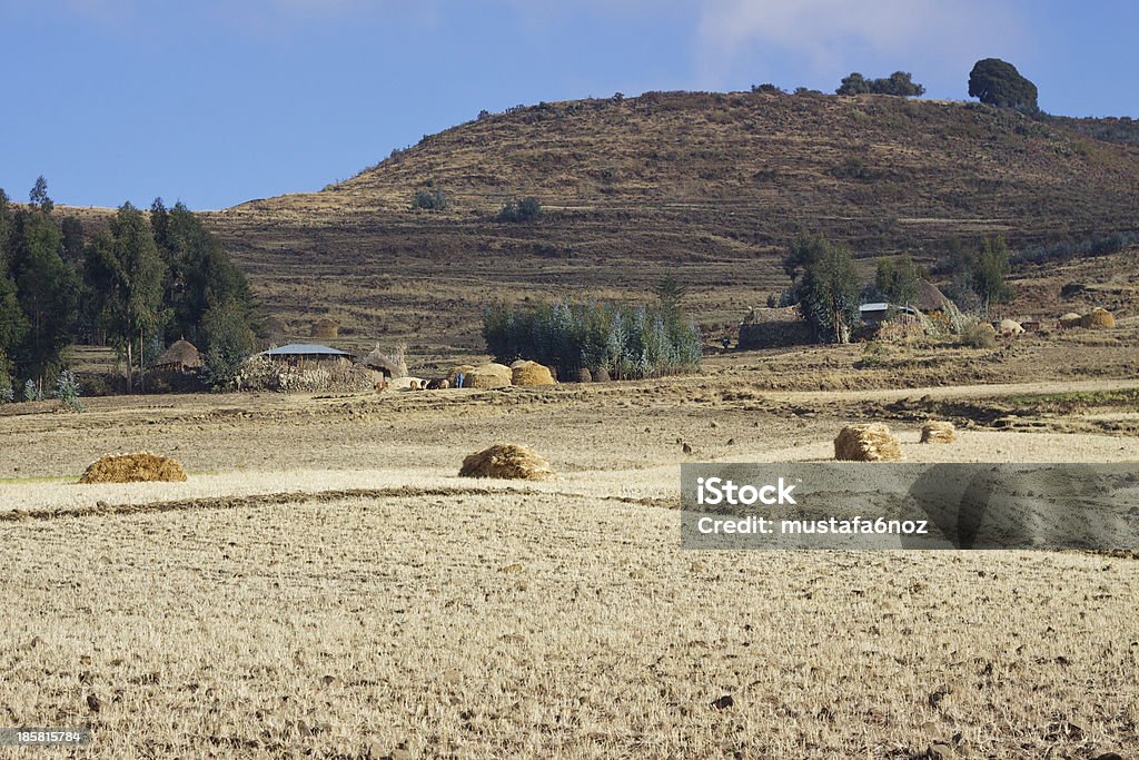 Zona Rural región en Amhara - Foto de stock de Aire libre libre de derechos