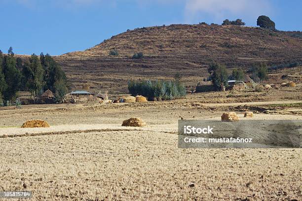 Zona Rural Región En Amhara Foto de stock y más banco de imágenes de Aire libre - Aire libre, Campo - Tierra cultivada, Cosechar