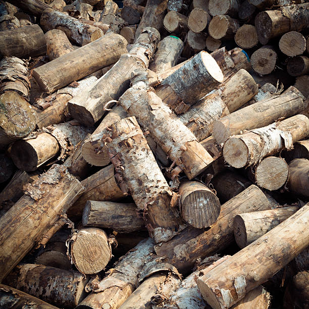 roundwood 堆積 - unbarked timber ストックフォトと画像