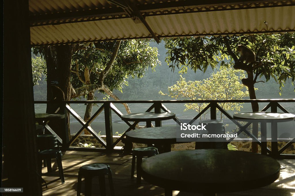 Mesas de jantar - Foto de stock de Almoço royalty-free