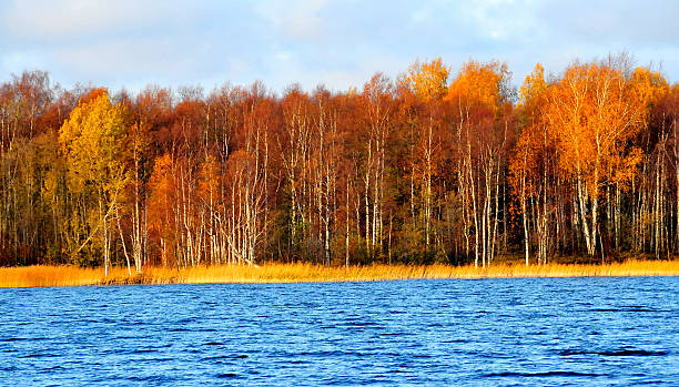 istock Beautiful fall season along Russia waterway 185816648