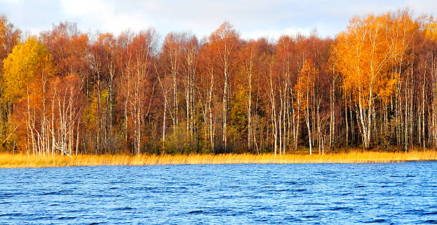 istock Beautiful fall season along Russia waterway 185816655