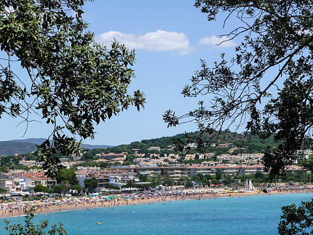 platja d'aro - tree large group of people sand sunbathing stock-fotos und bilder