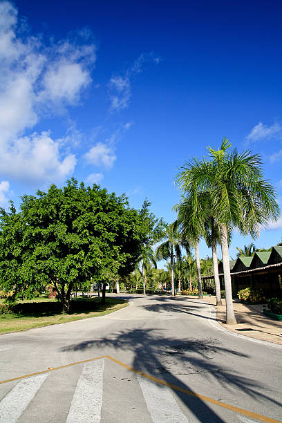 istock Caribbean street 185817247