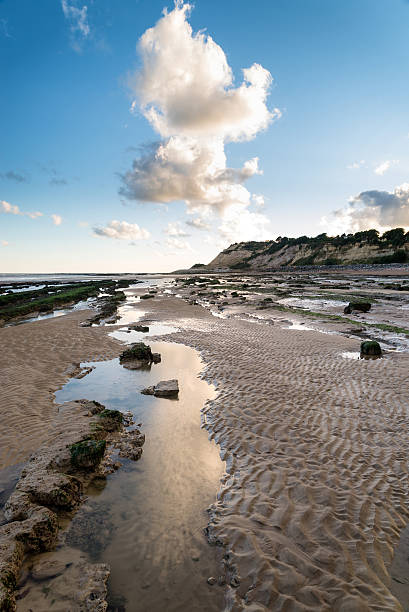 istock Summer landscape on beach during late evening and low sunlight 185818571