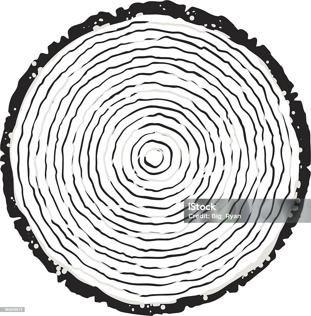 tree rings simple illustration of tree rings Tree Ring stock vector