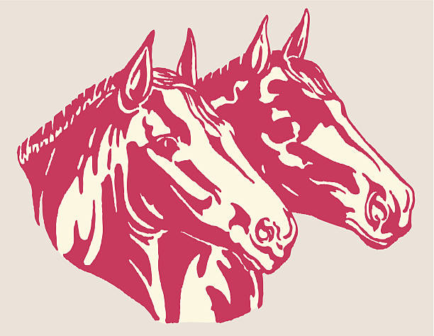 Two Horses